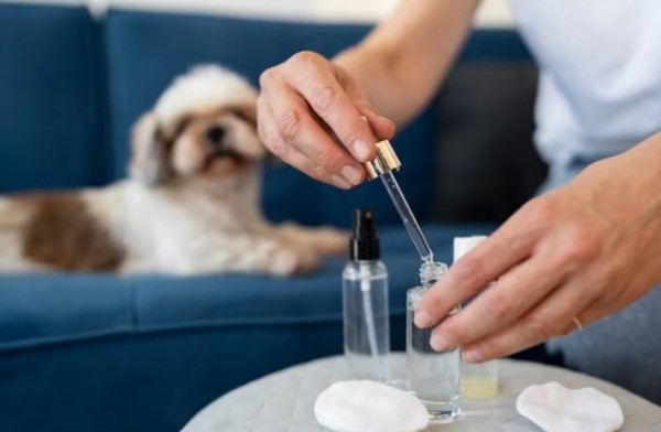 Testing cbd oil on pet