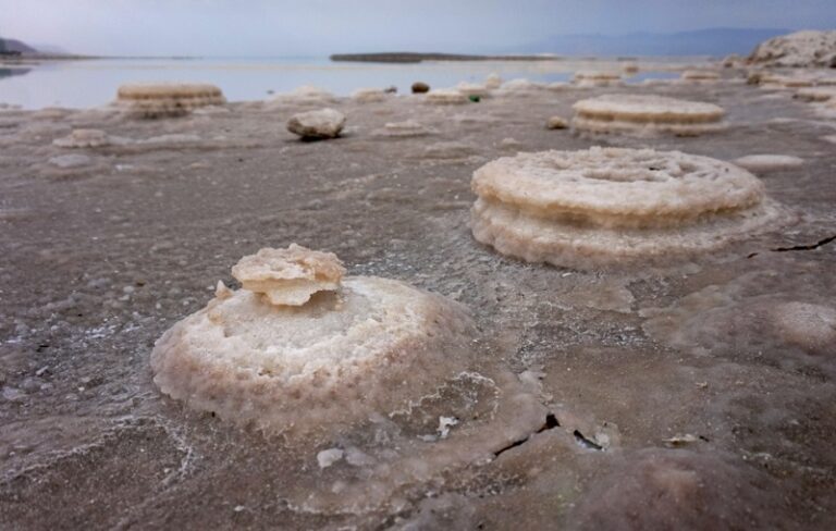 Salty-is-the-Dead-Sea