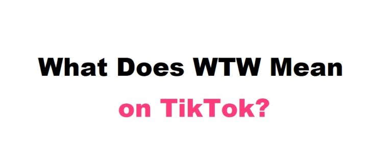 What-Does-WTW-Mean-on-TikTok